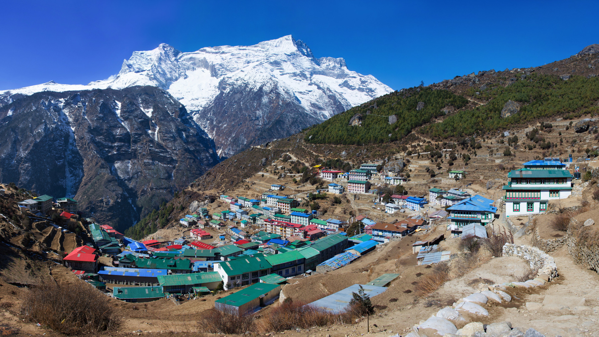 Komfortabler Everest-Trek & Safari-Abenteuer